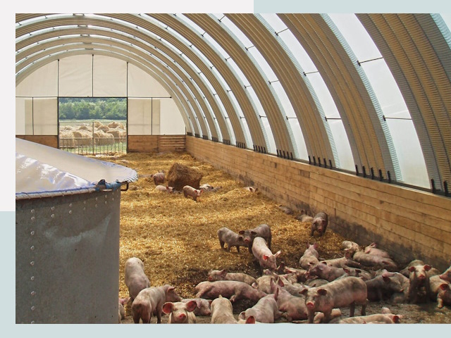 Строительство свинарников в Похвистнево