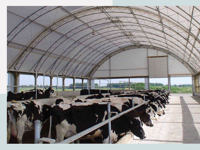 Тентовые коровники в Похвистнево